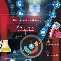 Infographic Design
