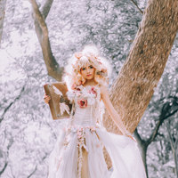 Fairy Tale Theme Pictorial Sample