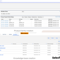 Salesforce CRM | Service Cloud & Pipeline Optimization