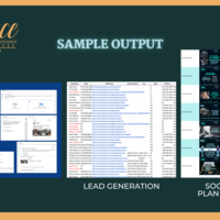 FB Campaign, Lead Gen & SM Plan & Sched