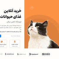 Website Design