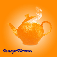 Portfolio Thumbnail 17