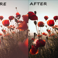 Color correction