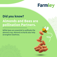 Portfolio Thumbnail 1