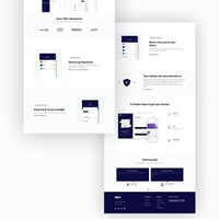 Website presentation for fintech website