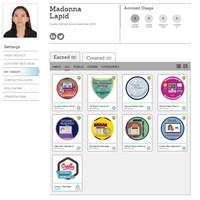 Badges earned from VA lessons and Modules