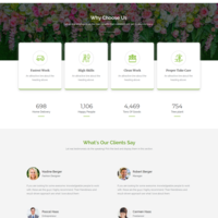 Green Website Design