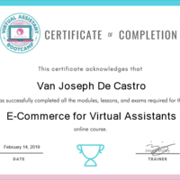 E-Commerce Certificate of Completion