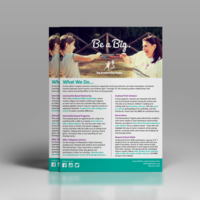 Big Brothers Big Sisters Informational Flyer