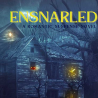 Book Cover Generation