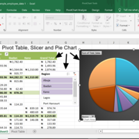 PIVOT TABLE, SLICER, PIE CHART