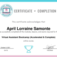 Virtual Assistant