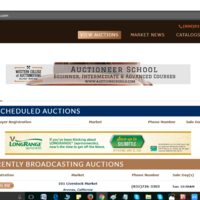 Auction site built with WordPress, plugins, and Node.js.