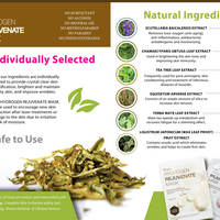 Booklet Layout