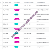 Airtable Centralized Patient Records Quick Access & Updates