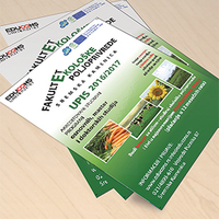 Portfolio Thumbnail 0