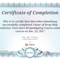 Drop Shipping Certificate