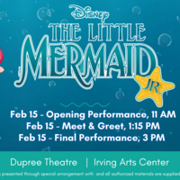 Promotional Banner