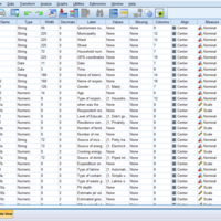 Data Entry -SPSS _Surveys and Questionnaires 