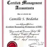 Certified Accounting Technician