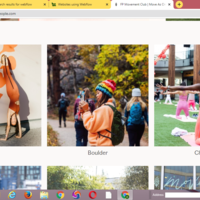 Portfolio Thumbnail 4