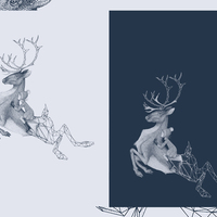 Portfolio Thumbnail 2
