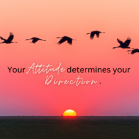 Portfolio Thumbnail 0