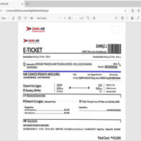 Local flight ticket