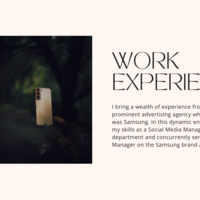 Experience