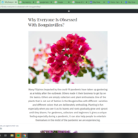 create blog post using Wordpress