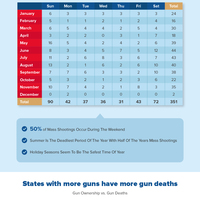 USA Gun Infographic