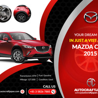 Portfolio Thumbnail 3