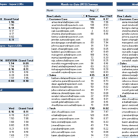 Data Analytics: Promoter Performance Dashboard