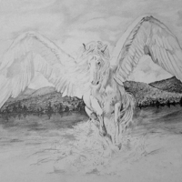 "Pegasus"
