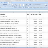 Vlookup Excel Project