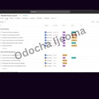 Project Management on Asana