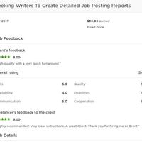 Content Writer