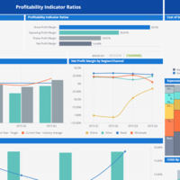 Profitability Indicator