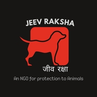 Portfolio Thumbnail 12