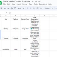 Social Media Content Schedule