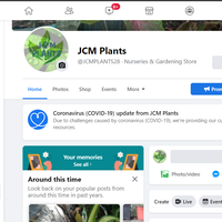 social media management