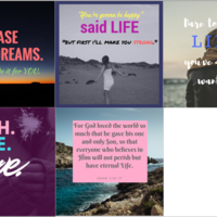 Social media management (Twitter posts using Canva)