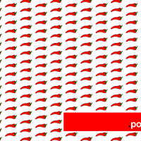 Portfolio Thumbnail 1