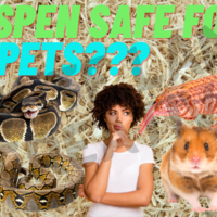 Our sample of YouTube thumbnail