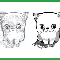 Image tracing using Adobe Illustrator