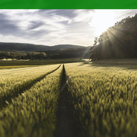 Organic farming http://www.athranorganics.com/