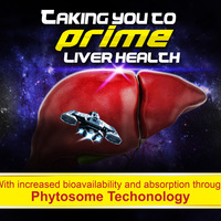 Portfolio Thumbnail 3