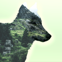 Portfolio Thumbnail 24