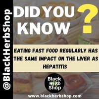 Portfolio Thumbnail 17