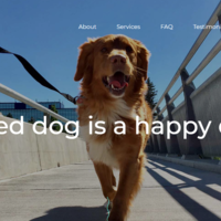 https://dog-jogs.ca/